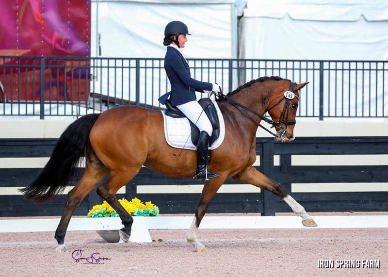 Honor, by Sir Sinclair. Photo Credit: Susan J. Stickle Photography