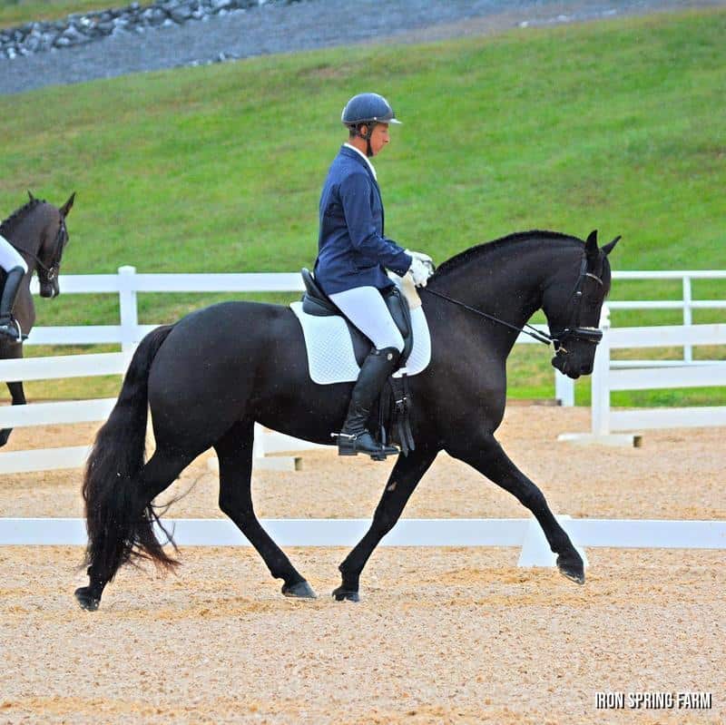 Zafira MWF, by Meinse 439. Photo credit: Jessica Mendoza