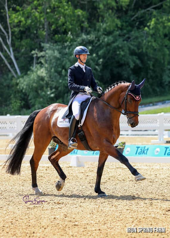 Faberge Blue, by Contango, Pref. Photo: Susan J. Stickle Photography