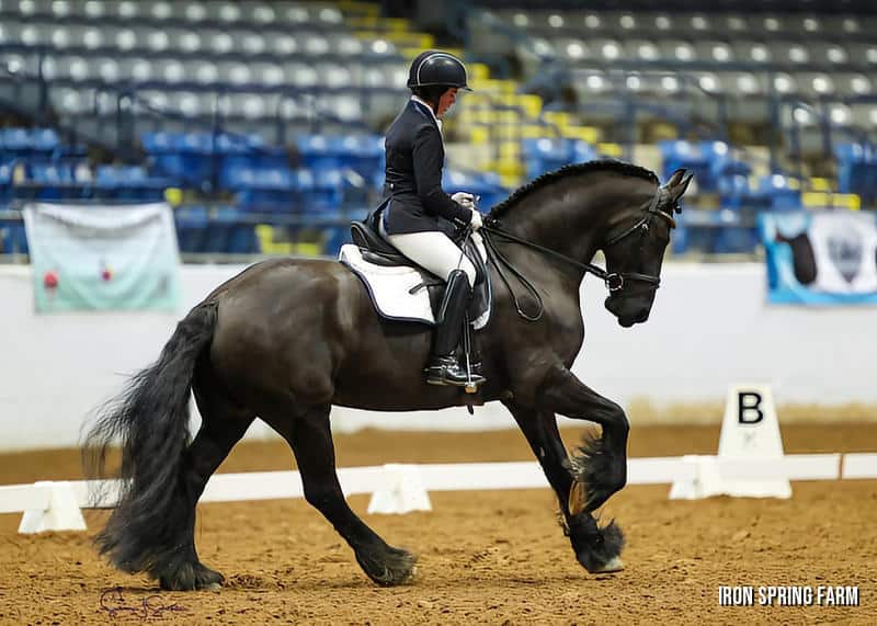 Zander ISF, by Teade 392, Sport