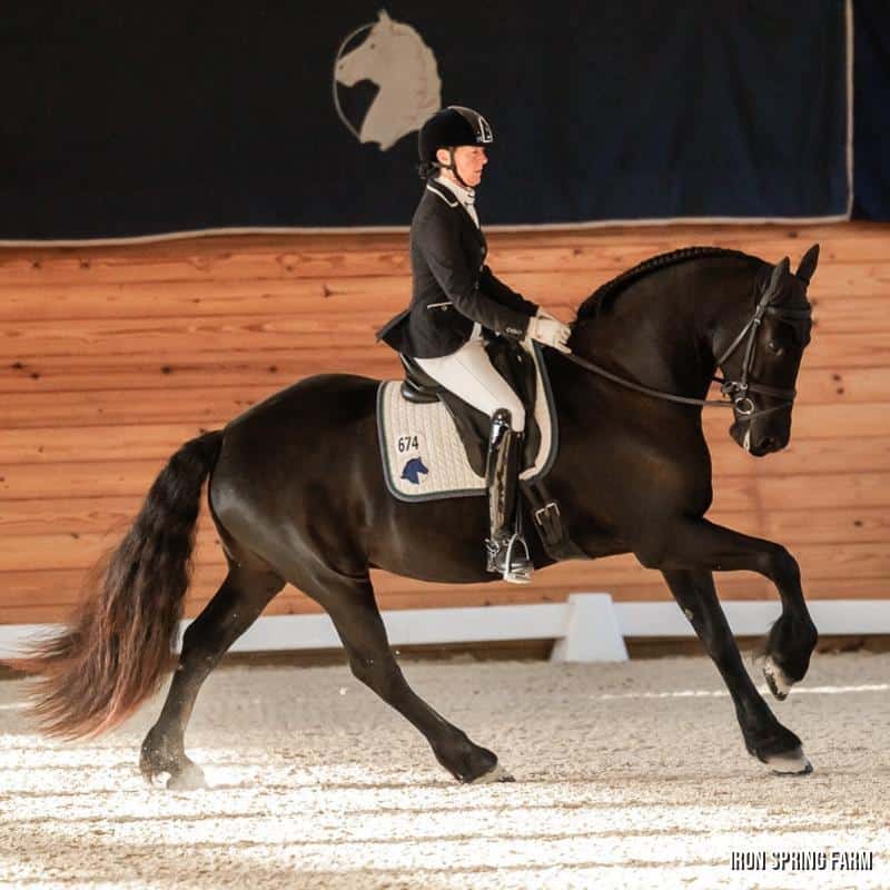 Absolute ISF, by Hedser 465, Sport