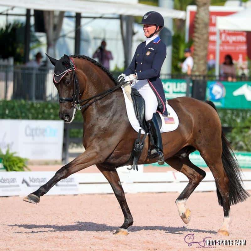 Alcazar, by Contango, Preferent