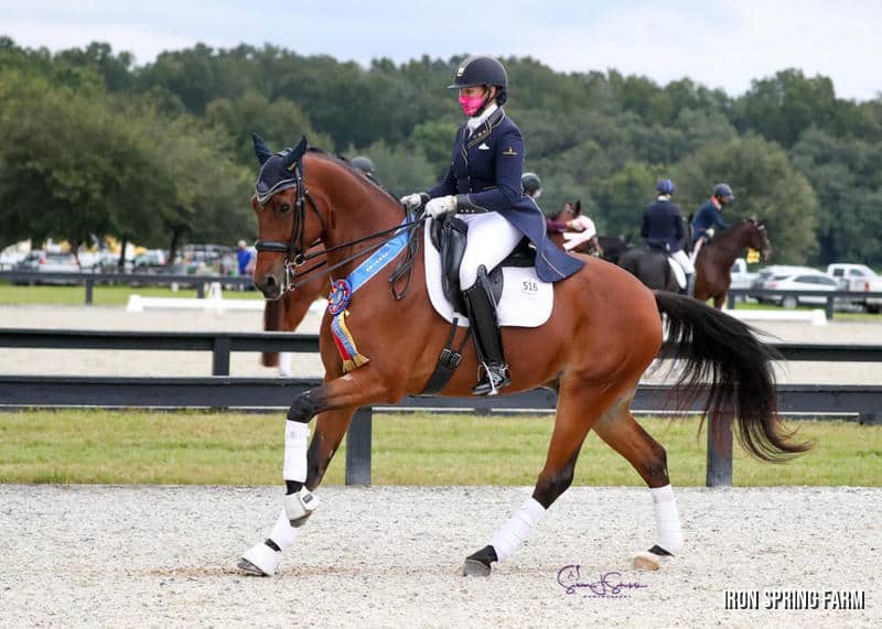 Caymus, by Sir Sinclair, Keur, GAIG/USDF Region 3 Grand Prix Champion