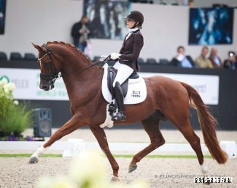 Dinja van Liere and Independent Little Me at the 2019 World Young Horse Championships.