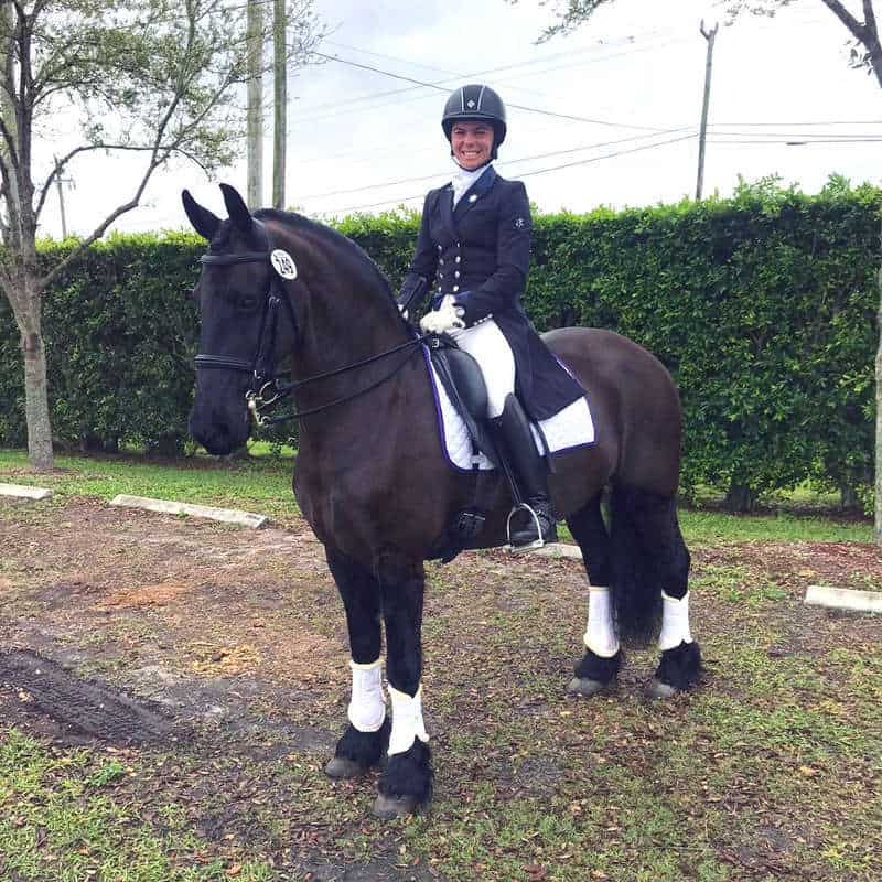 Windhorse Ysis, Sport, by Winand 405