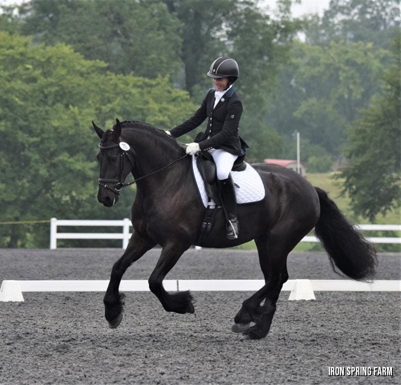 Zander ISF, by Teade 392, Sport